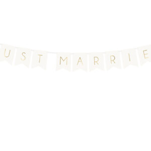 banderin just married