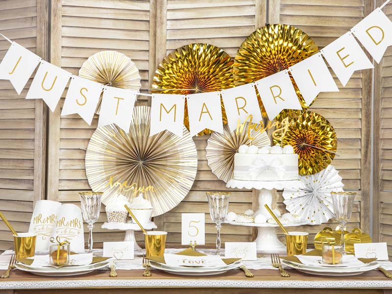 banderin just married banderin just married