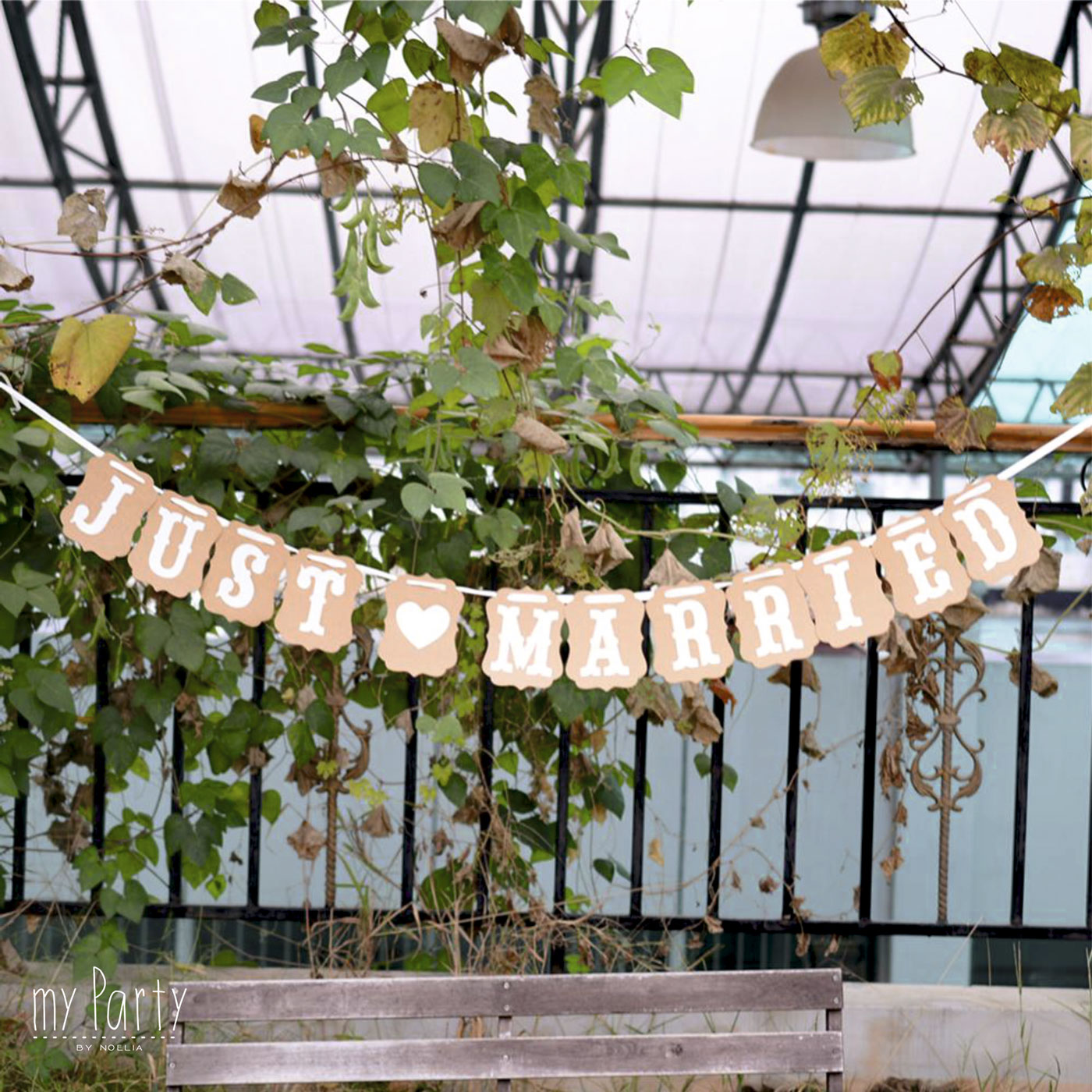 Guirnalda-Just-Married-2